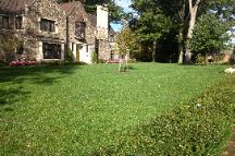 Grass Cutting - yard Maintenance