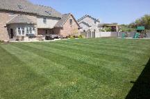 Grass Cutting - Landscaping