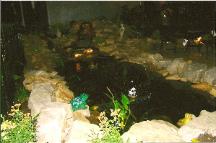 Pond, Water Garden, Landscaping