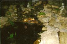 Pond, Water Garden, Landscaping