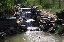 Ponds, Water Gardens, landscaping